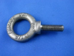 Eye Bolt