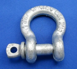 Drop Forged Shackle