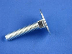 Elevator Bolt