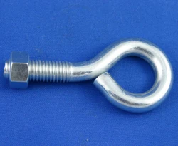 Eye Bolt Turned