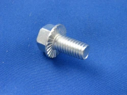 Hex Serrated Flange Screw